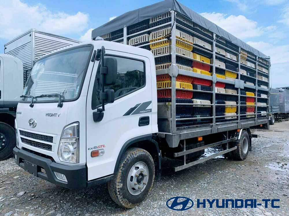 Xe tải chở gia cầm 6 tấn Hyundai Mighty Ex8 GTL 